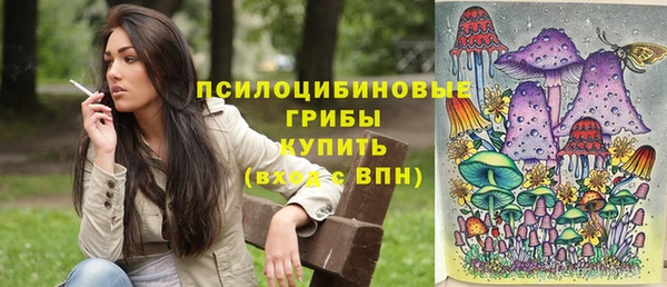 ешки Алексеевка