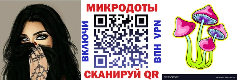 Галлюциногенные грибы Psilocybine cubensis Серов